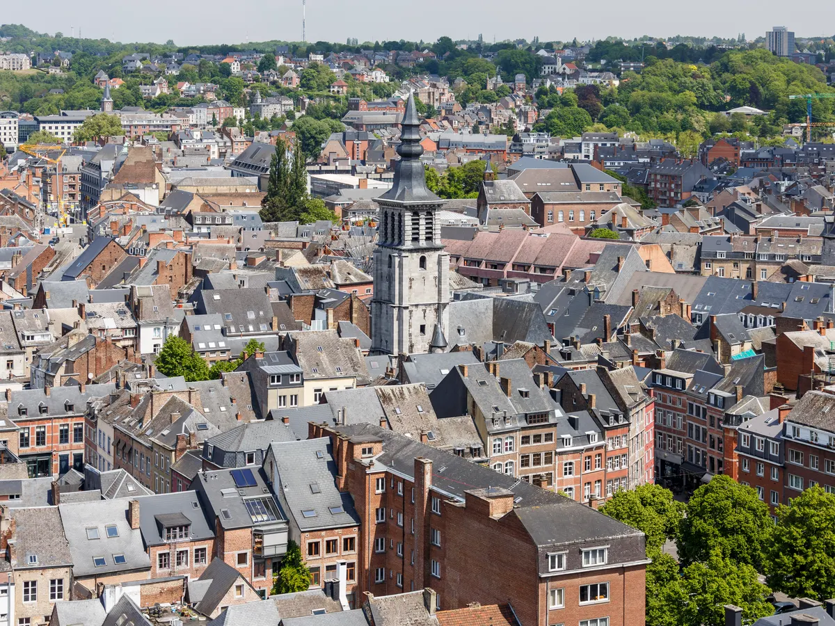 Namur : les toits de la vieille ville et la cathédrale Saint-Aubain