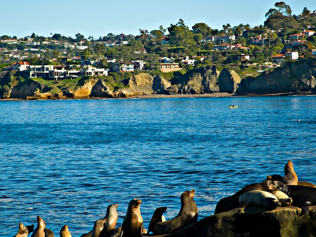San Diego: the La Jolla coastline and sea lions on the rocks